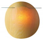 Wandlampe aus Microwood Buche